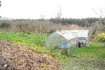 Garden with greenhouses.