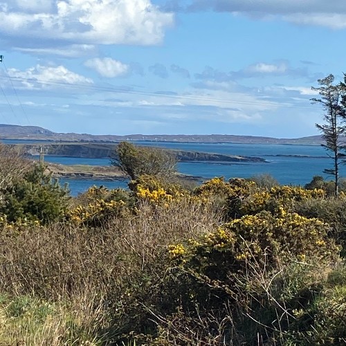 Schull Harbour view from site